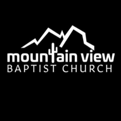 MOUNTAIN VIEW TOURS, INC.