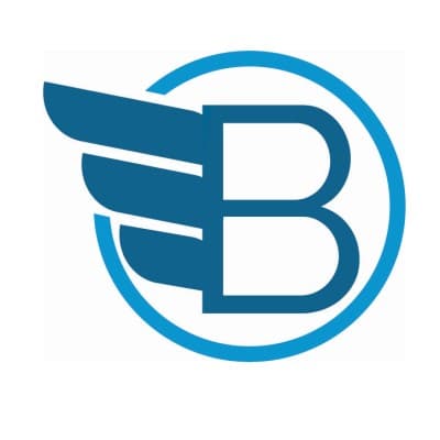BLUEWING MIDSTREAM, LLC logo image