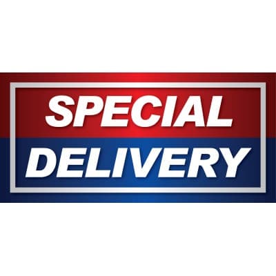 SPECIAL DELIVERY SERVICE INC