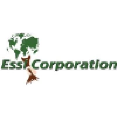 ESSI CORPORATION