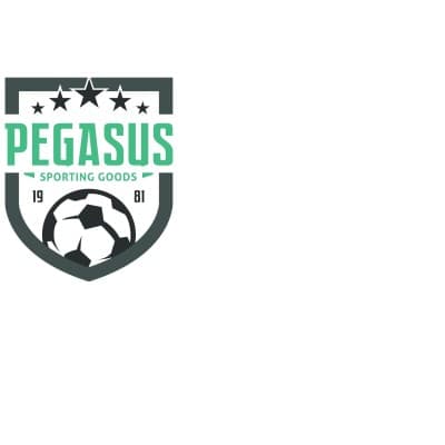 PEGASUS PRODUCTS INC