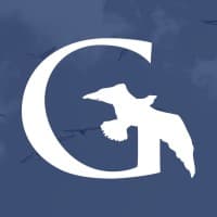 GULLVIEW TECHNOLOGIES, LLC