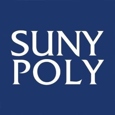 SUNY POLYTECHNIC INSTITUTE AUXILIARY SERVICES CORP