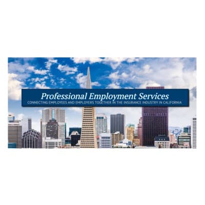 PROFESSIONAL EMPLOYMENT SERVICES, INC.