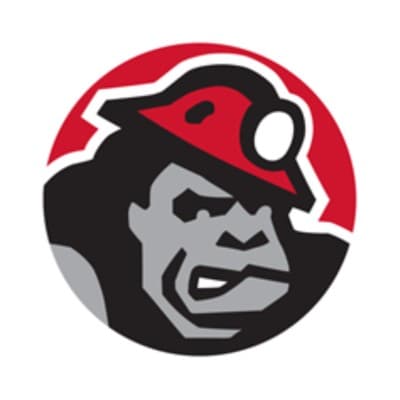 GRT RUBBER TECHNOLOGIES LLC