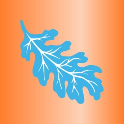 OAK TREE SOFTWARE, INC.