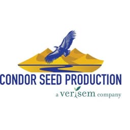 CONDOR SEED PRODUCTION INC