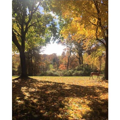 BRONZE STONE GROUP, LLC