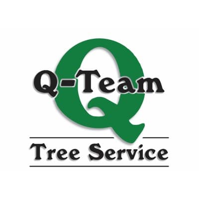 Q-TEAM, INC.