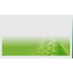 ASHLEY MANAGEMENT CORPORATION