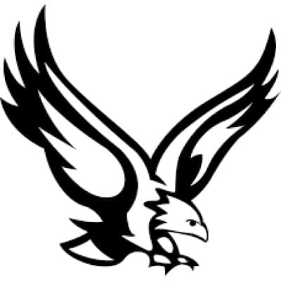 COSMOPOLITAN SERVICES, INC.