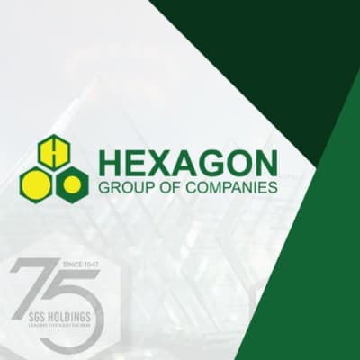 HEXAGON USA HOLDINGS, INC.