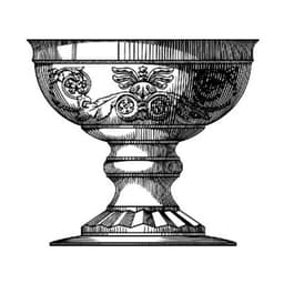 THE SILVERLEAF CLUB LLC