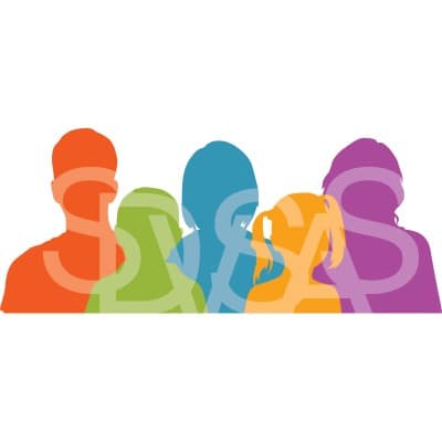 SKAGIT DOMESTIC VIOLENCE AND S