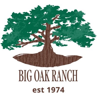 BIG OAK RANCH INC.