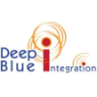 DEEP BLUE INTEGRATION, INC. 401(K) PLAN