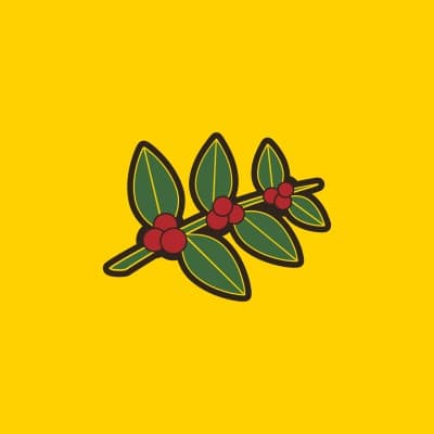 HEINE BROTHERS' COFFEE, INC.