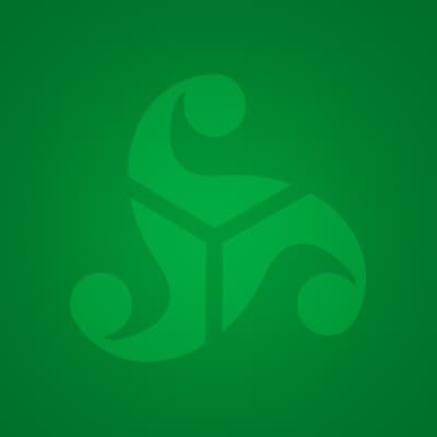 BERNHARD CAPITAL PARTNERS MANAGEMENT, LP