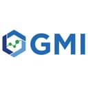 GMI HOLDING, INC.