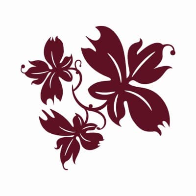 THE SILVERSAND SERVICES, INC.