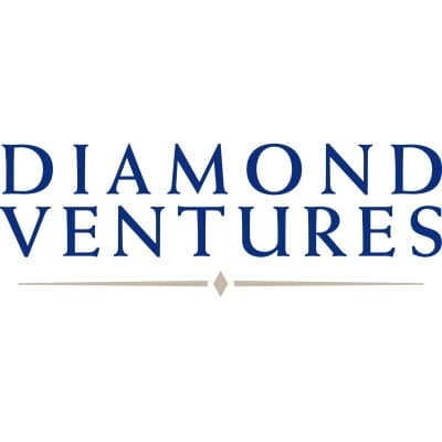 DIAMOND VENTURES, INC.