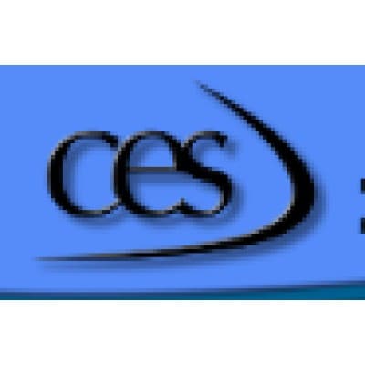 CUSTOM ELECTRONIC SERVICES, INC.