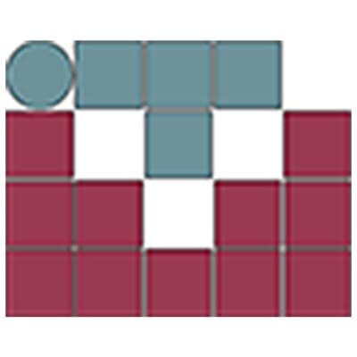 IT PROJECT PROS, INC.