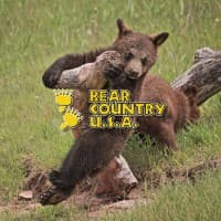 BEAR COUNTRY USA, INC.