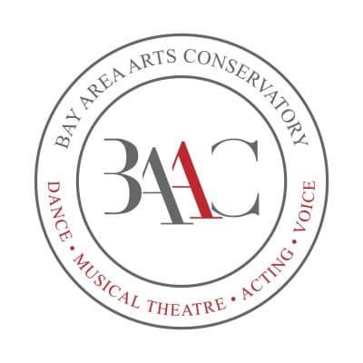 BAY AREA ARTS CONSERVATORY LLC