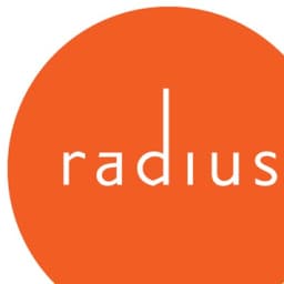 RADIUS GLOBAL MARKETING RESEARCH LLC