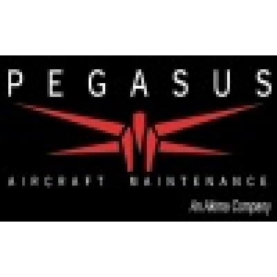 PEGASUS AIRCRAFT MANAGEMENT LLC DBA PAM JETS
