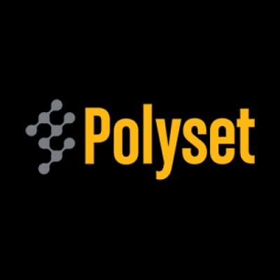 POLYSET COMPANY INC