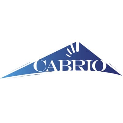 CABRIO CAPITAL LLC