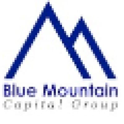 BLUE MOUNTAIN CAPITAL, INC