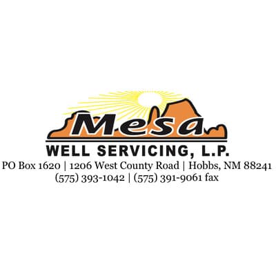 MESA WELL SERVICING, LP