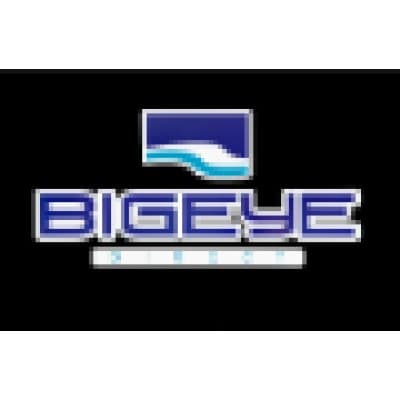 BIGEYE DIRECT, INC.