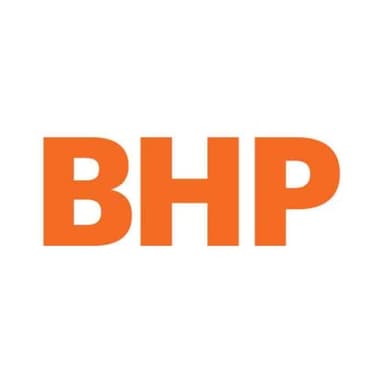 BHP HOLDINGS (INTERNATIONAL) INC.