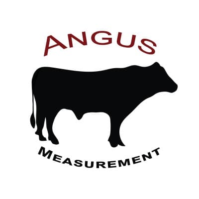 ANGUS SERVICES INC