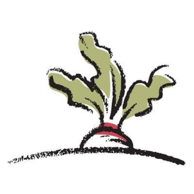 SUGAR MOUNTAIN CAPITAL, LLC