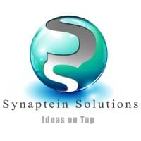 SYNAPTEIN SOLUTIONS INC