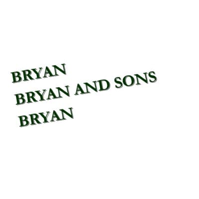 BRYAN & SONS LAWN & LANDSCAPE, LLC
