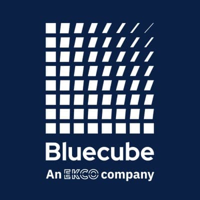 BLUECUBE TECHNOLOGY SOLUTIONS LL