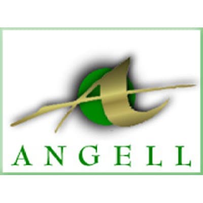 THE ANGELL PENSION GROUP, INC.