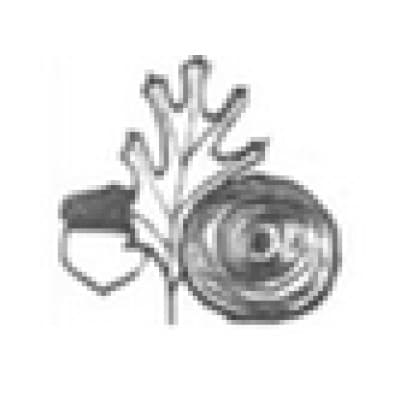 PACIFIC FIR LUMBER CO.