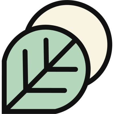 BEARING TREE INCORPORATED