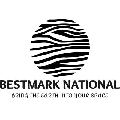 BESTMARK NATIONAL LLC