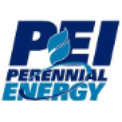 PERENNIAL ENERGY LLC