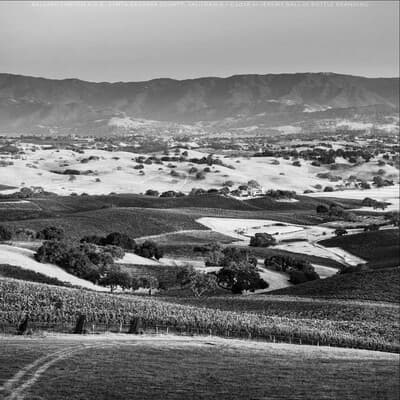 STOLPMAN VINEYARDS, LLC 401(K) PLAN