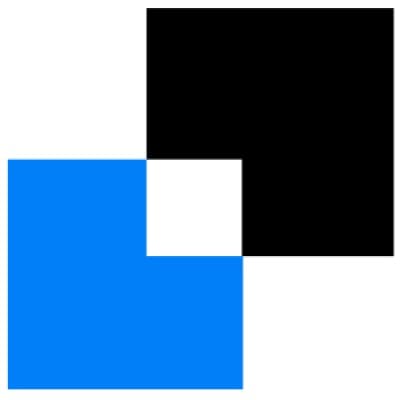 BSM CONSULTING GROUP, LTD