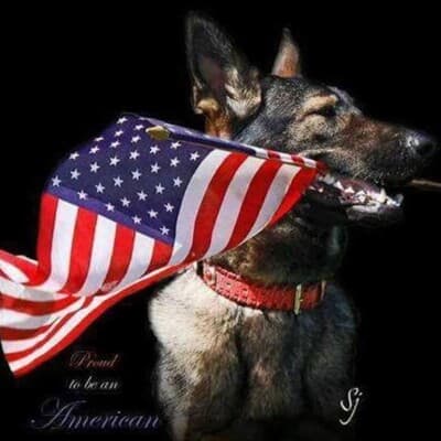 GREATER MILWAUKEE AUTO AUCTION